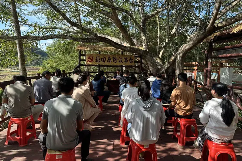 村民在“稻田原野议事台”开会。受访者供图