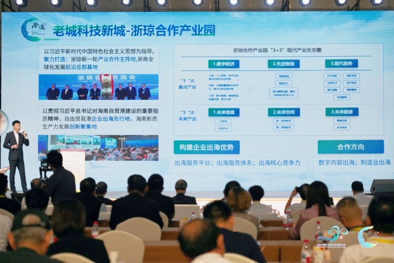 澄迈县推介环节。 主办方供图