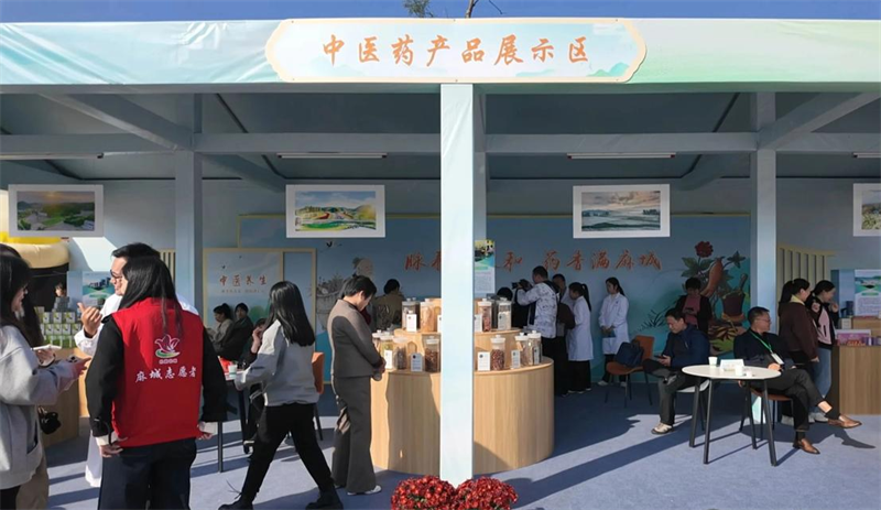 麻城菊花文化旅游季活动现场。