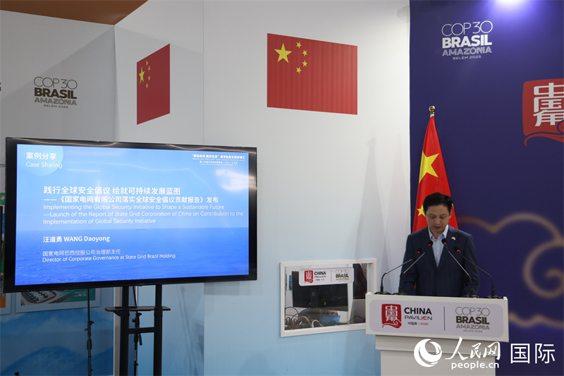 《国家电网有限公司落实全球安全倡议贡献报告》发布现场。人民网记者  时元皓摄